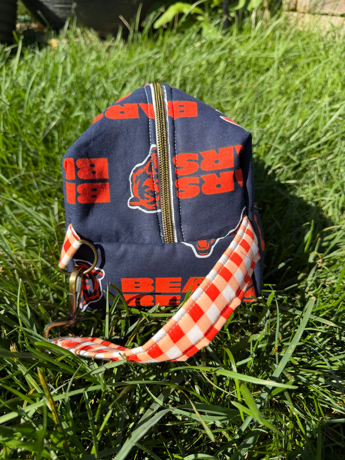 Ready, Set, Bear Down! (Grab N Go Carry All)
