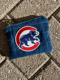 Next Year, Cubbies!