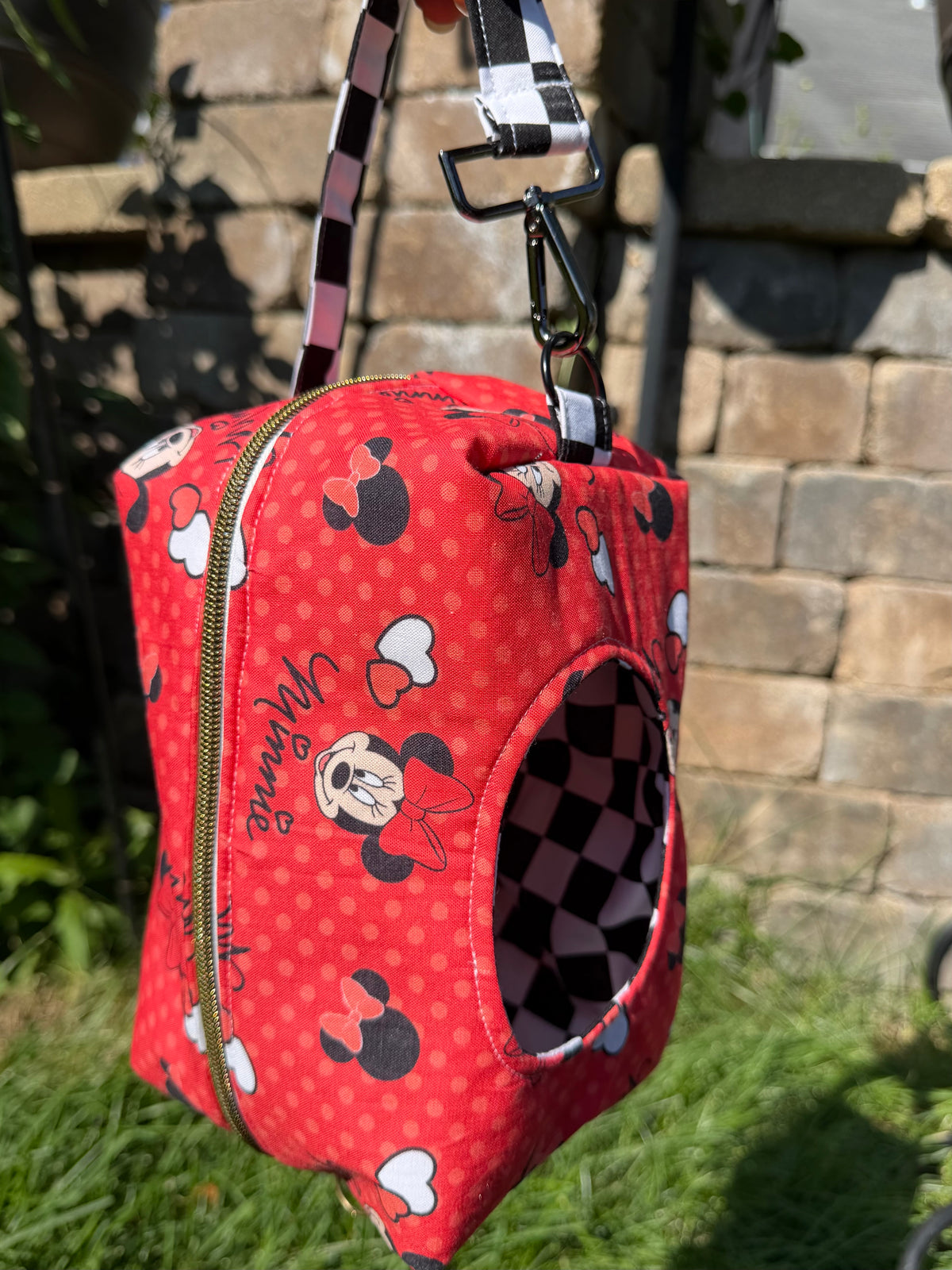 Oh, Minnie! {Grab n Go Carry All}