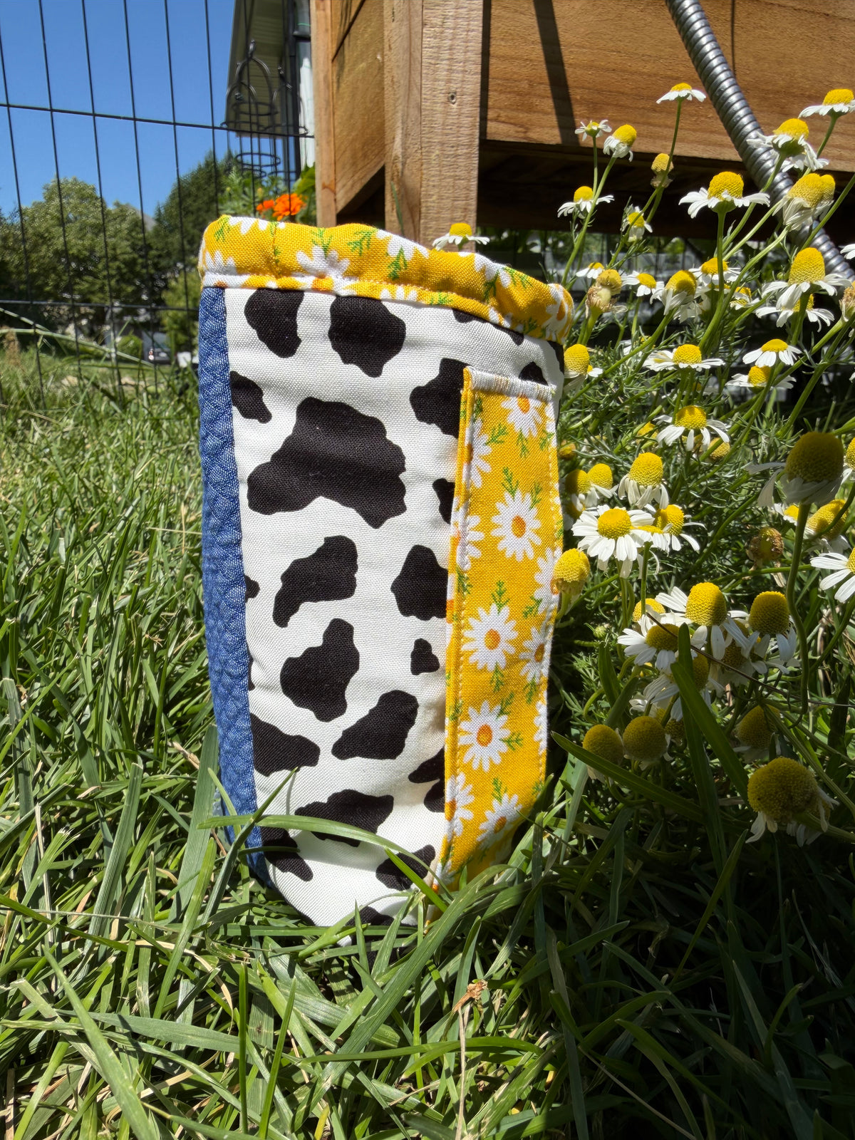 Baby Cow